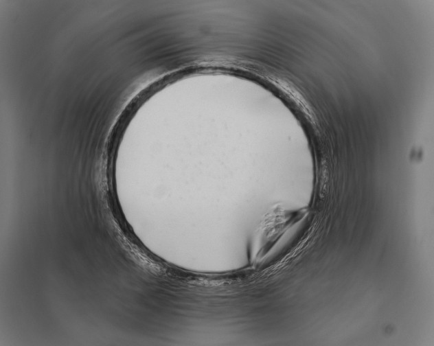 X0000097590976200803280923