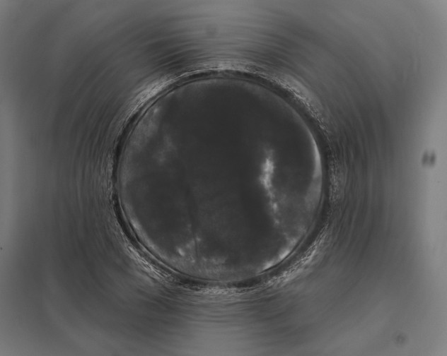 X0000097590977200803280923