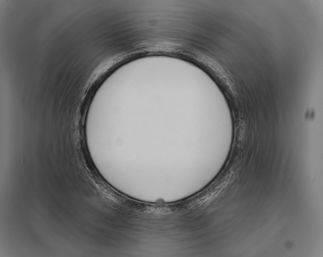 X0000097590978200803280923