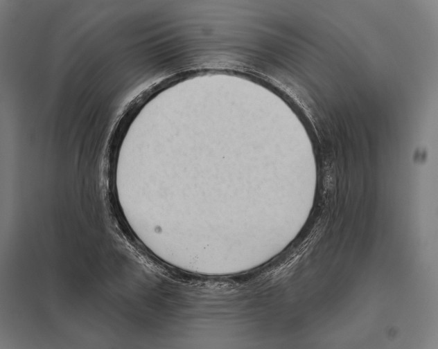 X0000097590979200803280923