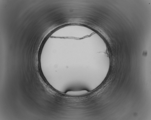 X0000097590980200803280923