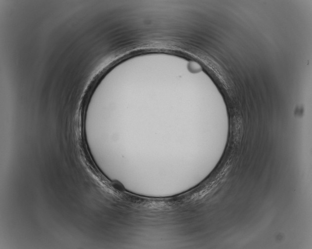 X0000097590982200803280923