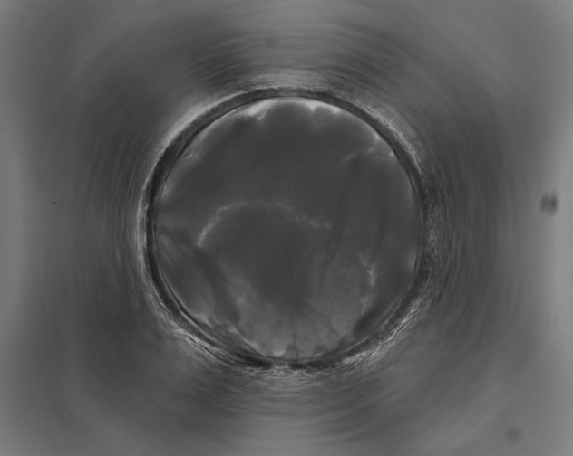 X0000097590983200803280923