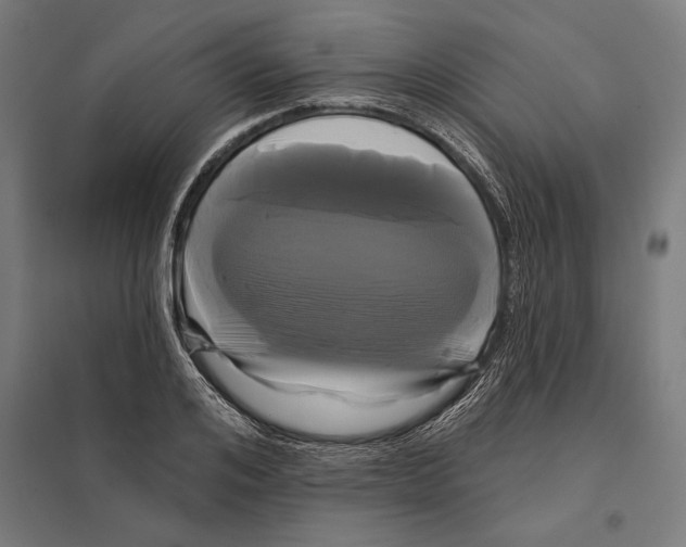 X0000097590984200803280923