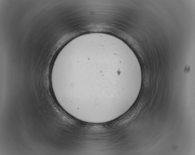 X0000097590986200803280923