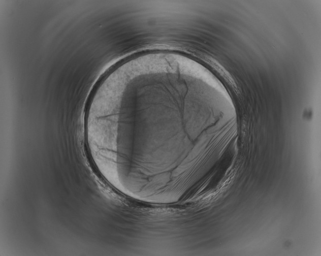 X0000097590988200803280923