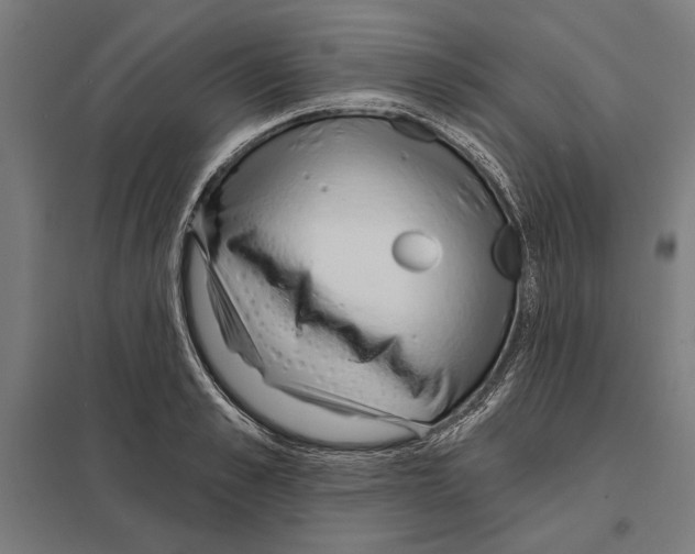 X0000097590989200803280923