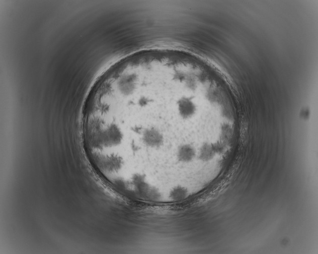 X0000097590990200803280923