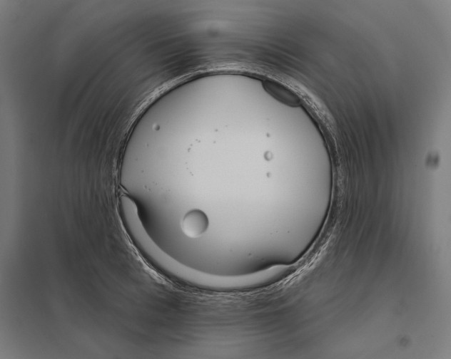 X0000097590993200803280923