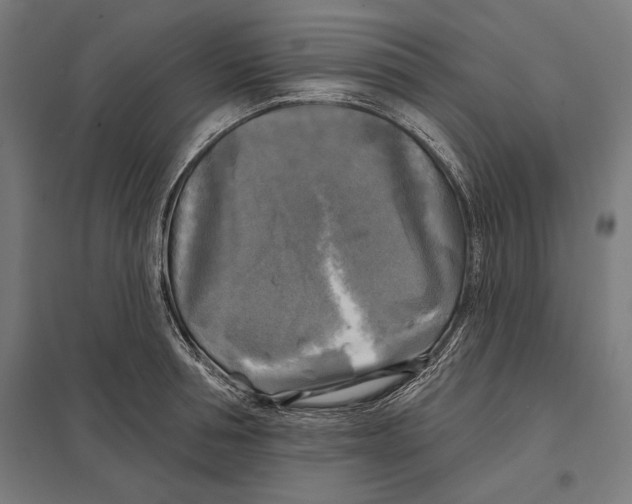 X0000097590994200803280923