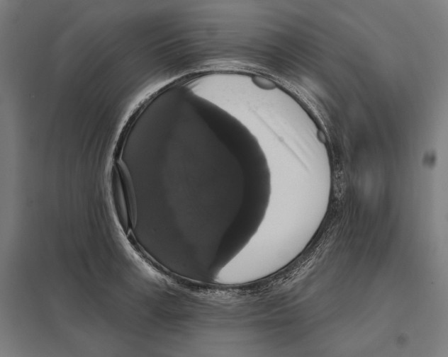 X0000097590995200803280923