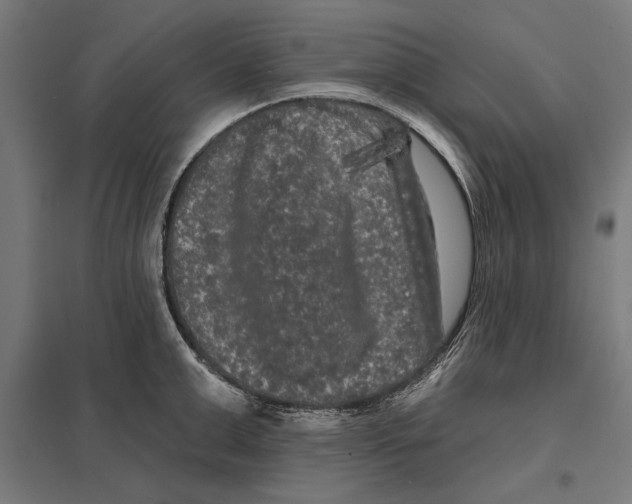 X0000097590999200803280923