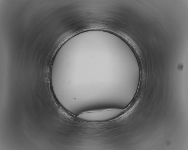 X0000097591001200803280923