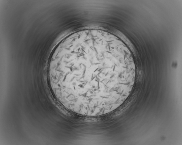 X0000097591002200803280923