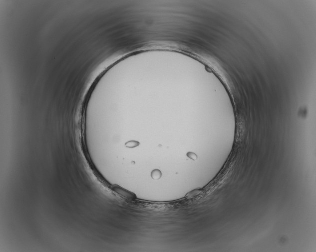 X0000097591003200803280923