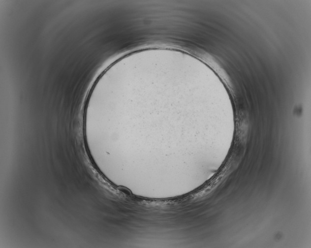 X0000097591004200803280923