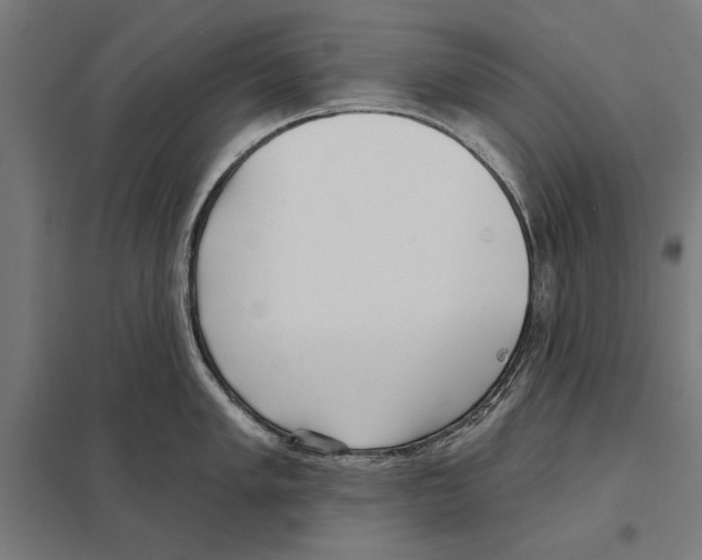 X0000097591005200803280923