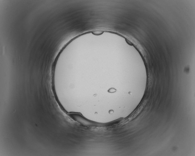 X0000097591006200803280923