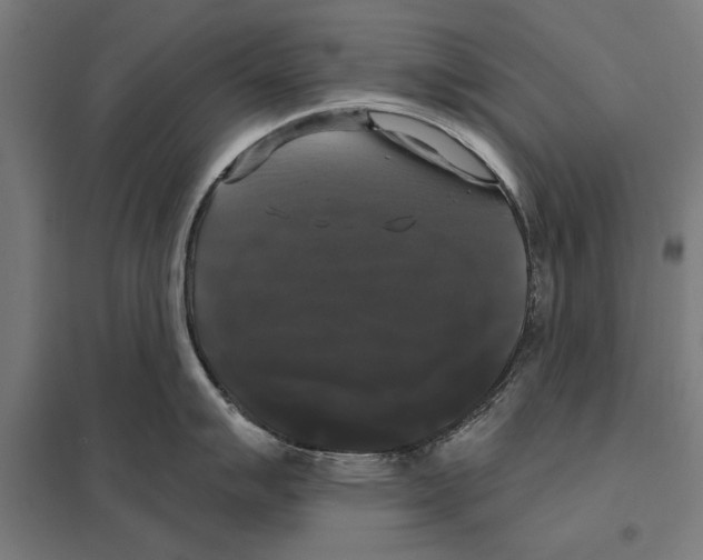 X0000097591007200803280923