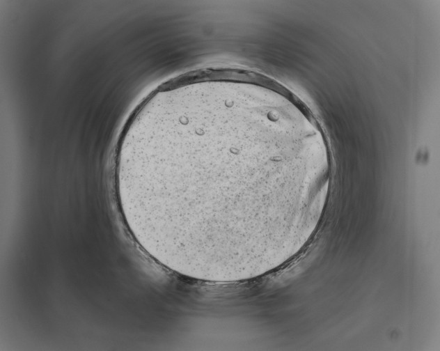 X0000097591008200803280923