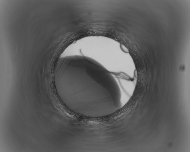 X0000097591009200803280922