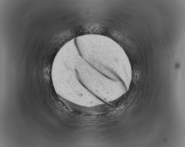 X0000097591010200803280922