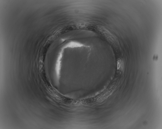 X0000097591011200803280922