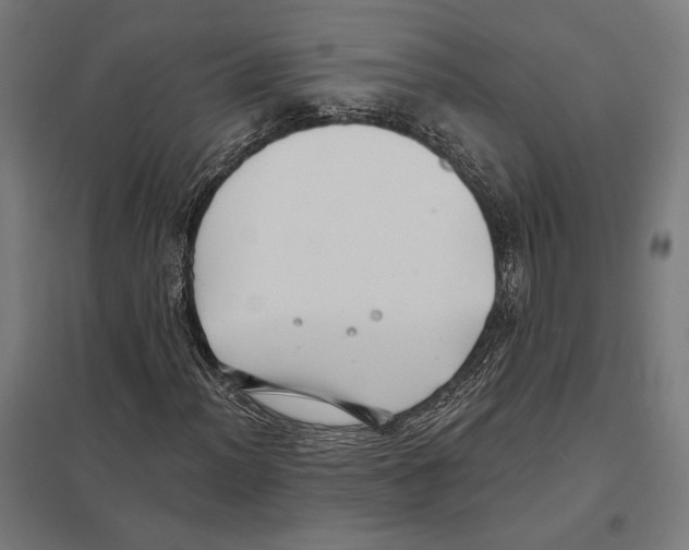 X0000097591012200803280922