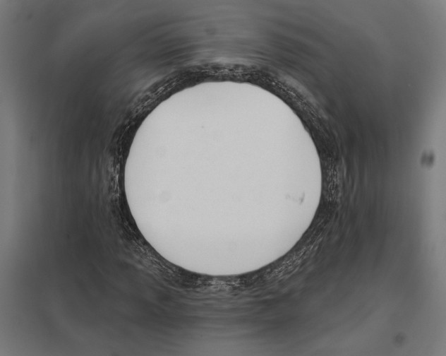 X0000097591013200803280922