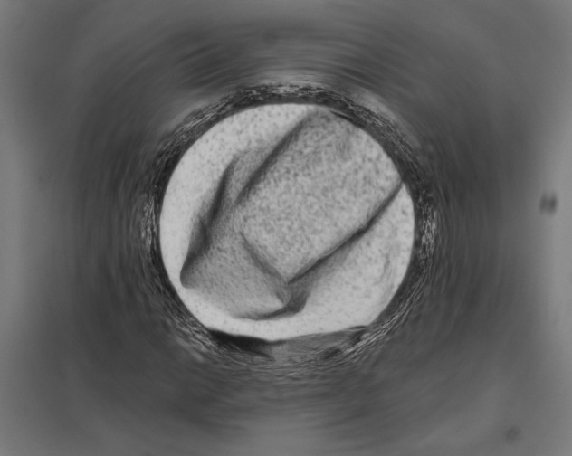 X0000097591014200803280922