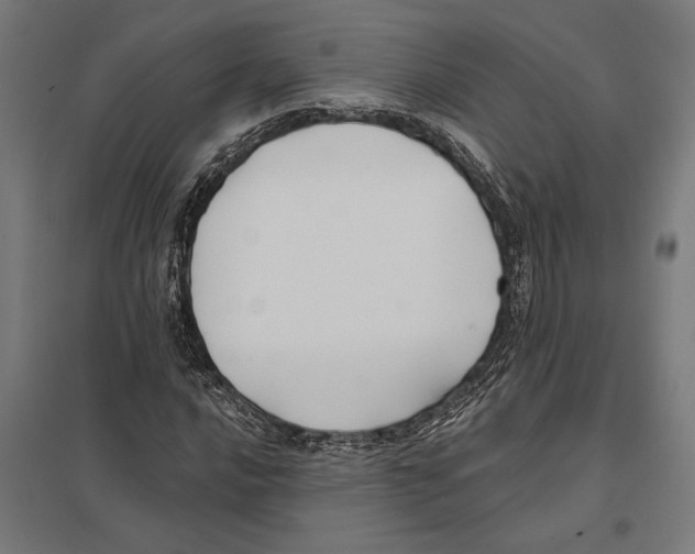 X0000097591016200803280922