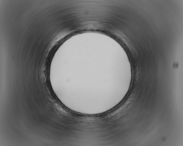 X0000097591018200803280922