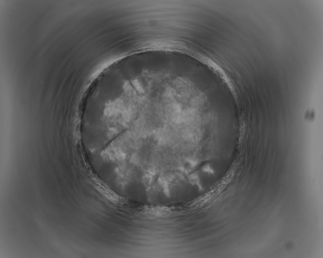 X0000097591019200803280922