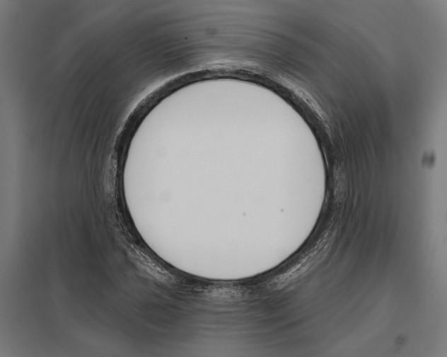 X0000097591021200803280922