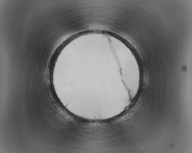 X0000097591022200803280922