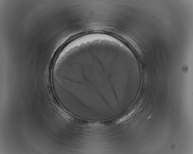 X0000097591023200803280922