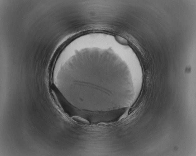 X0000097591024200803280922