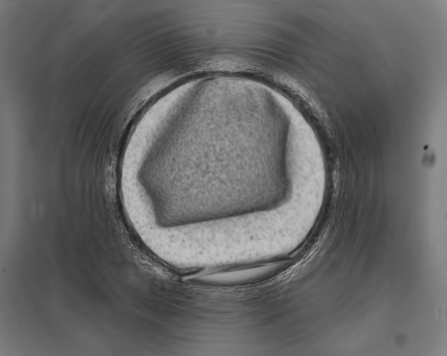 X0000097591025200803280922