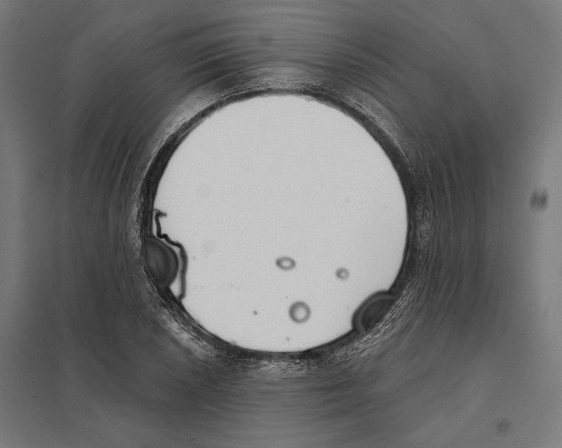 X0000097591026200803280922