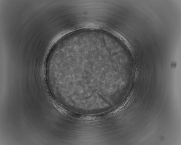 X0000097591027200803280923