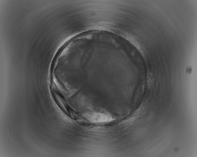 X0000097591028200803280923