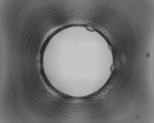 X0000097591030200803280923