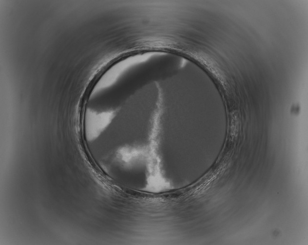 X0000097591031200803280923