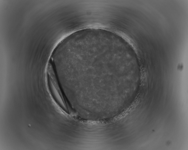 X0000097591032200803280923