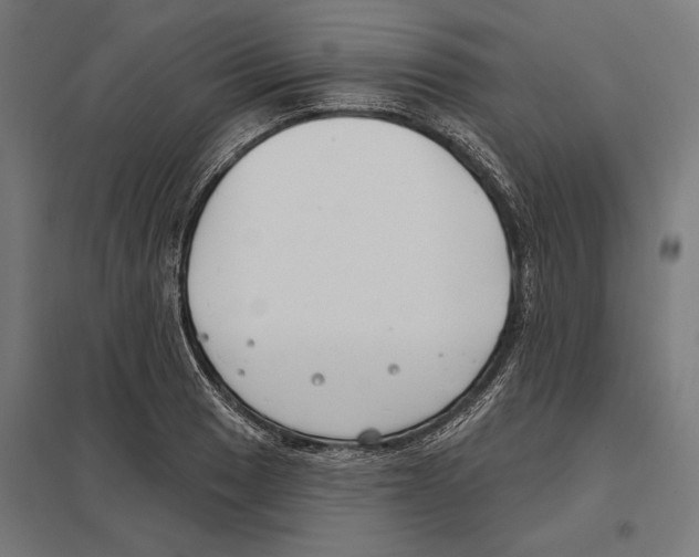 X0000097591033200803280923