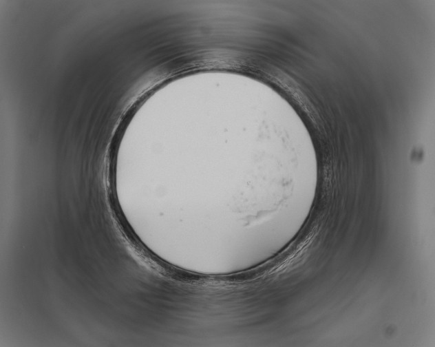 X0000097591034200803280923