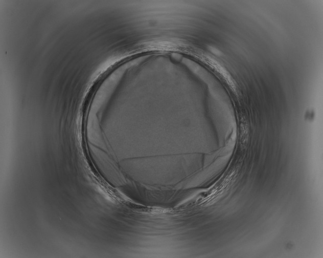 X0000097591035200803280923