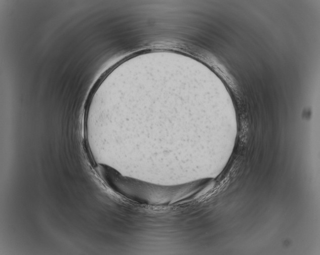 X0000097591036200803280923