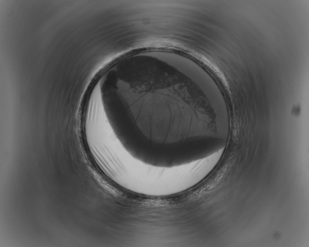 X0000097591037200803280923