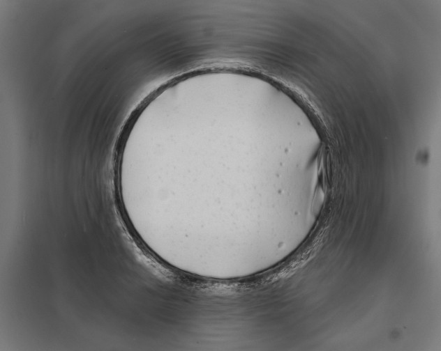 X0000097591038200803280923